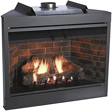 42 Inch Natural Gas B-Vent Fireplace with Louvers