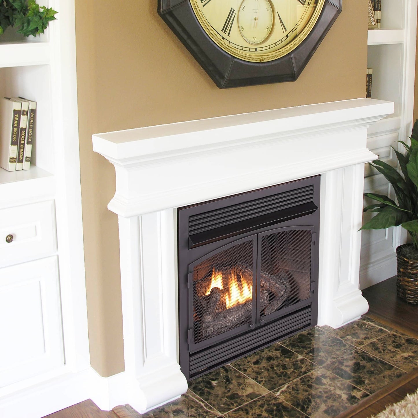 Ventless Dual Fuel Gas Fireplace Insert with Remote