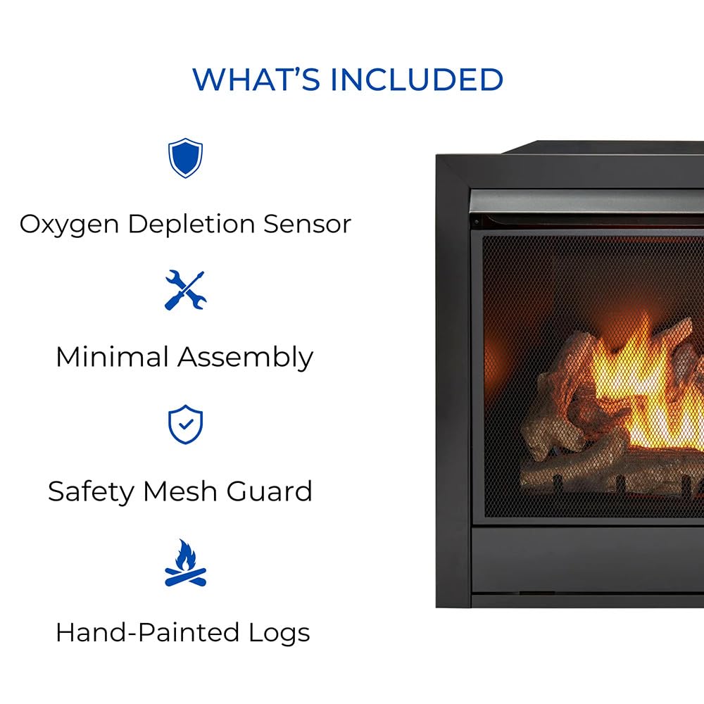 Ventless Dual Fuel Gas Fireplace Insert with Remote