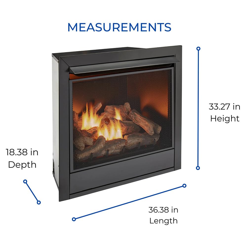Ventless Dual Fuel Gas Fireplace Insert with Remote
