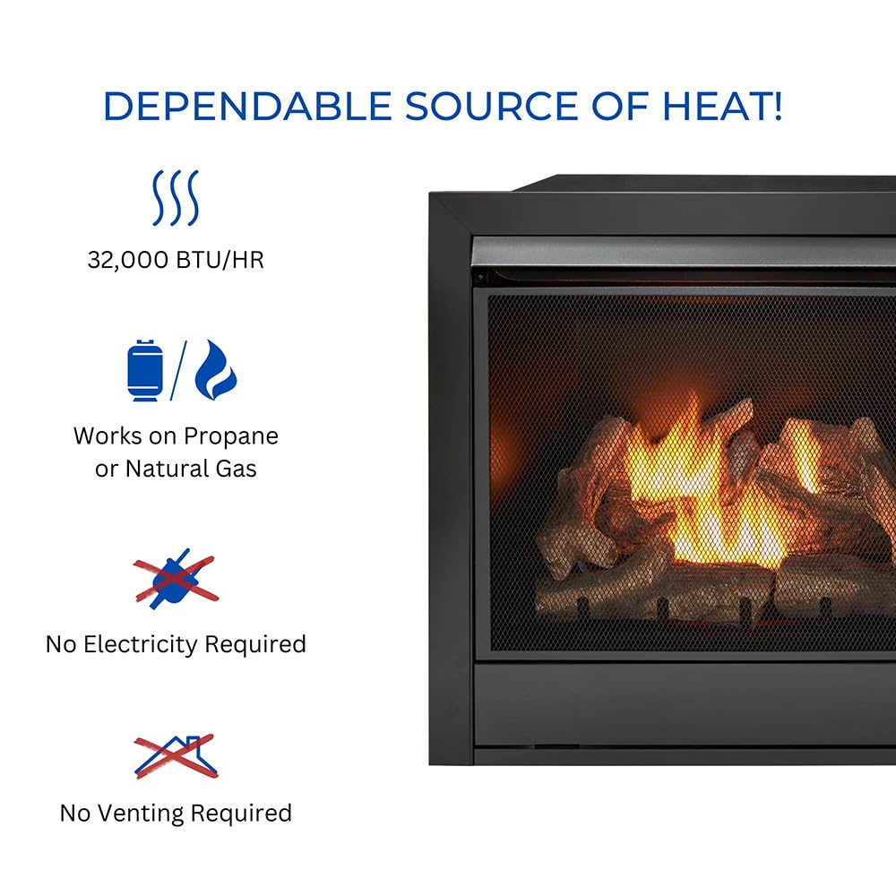 Ventless Dual Fuel Gas Fireplace Insert with Remote