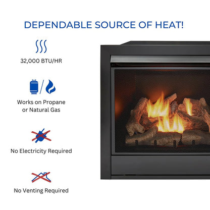 Ventless Dual Fuel Gas Fireplace Insert with Remote