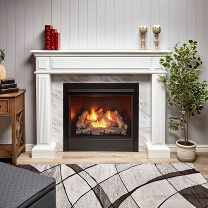 Ventless Dual Fuel Gas Fireplace Insert with Remote