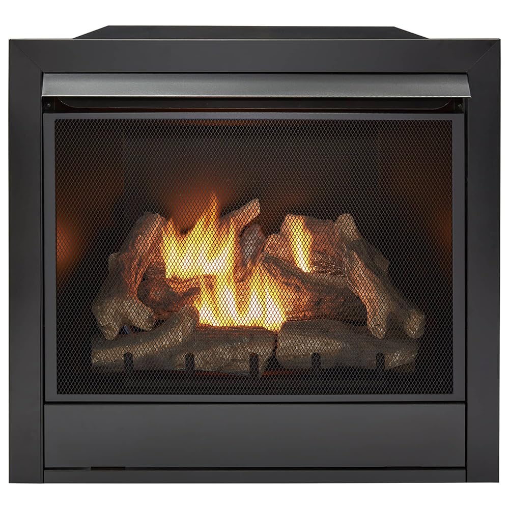 Ventless Dual Fuel Gas Fireplace Insert with Remote