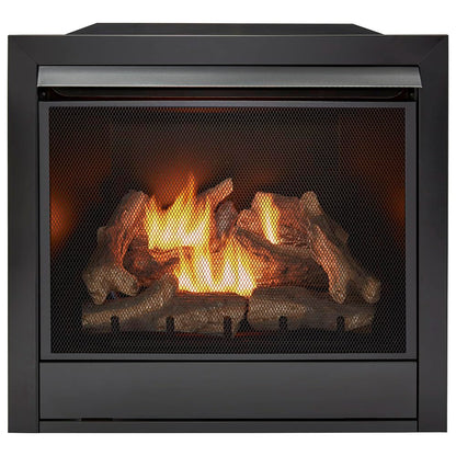 Ventless Dual Fuel Gas Fireplace Insert with Remote