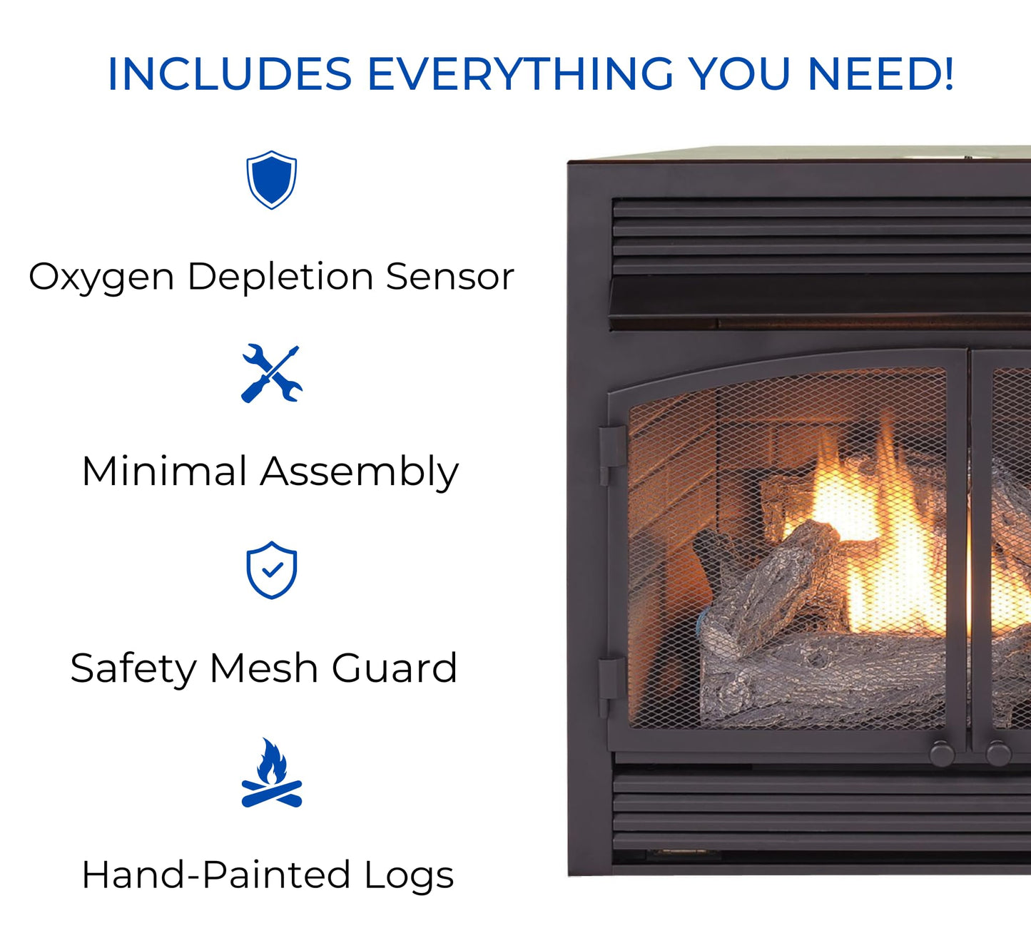 Ventless Dual Fuel Gas Fireplace Insert with Remote