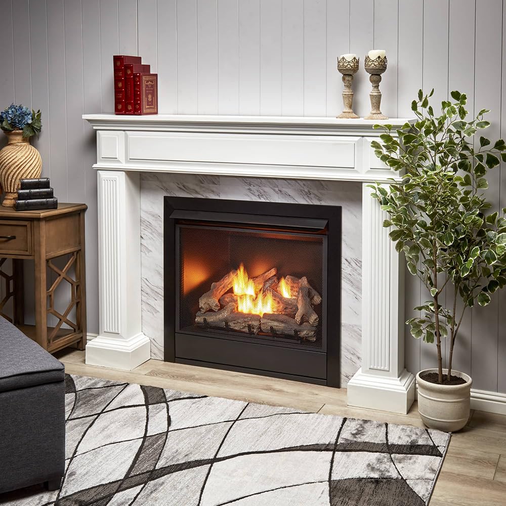 Ventless Dual Fuel Gas Fireplace Insert with Remote