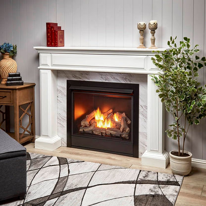 Ventless Dual Fuel Gas Fireplace Insert with Remote