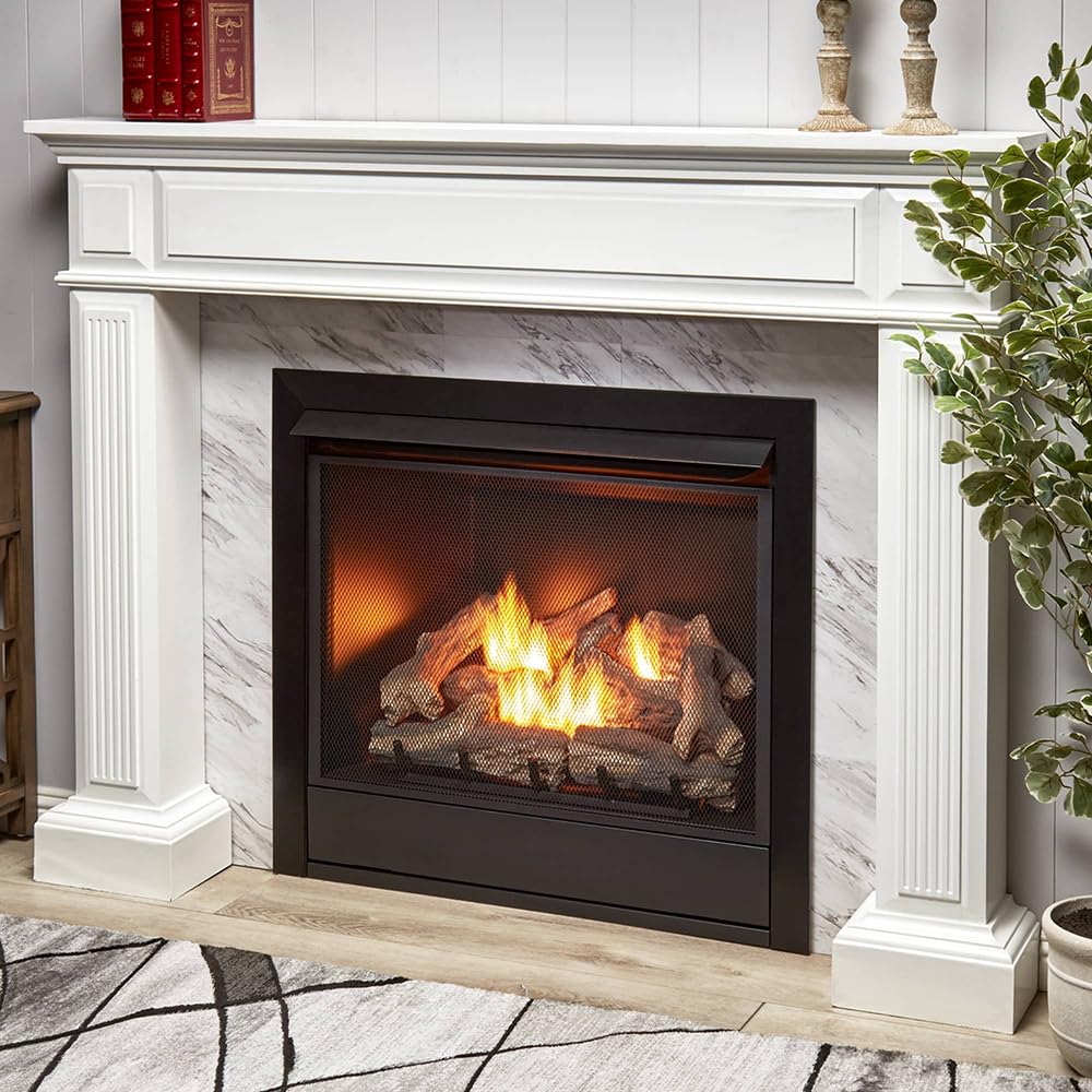 Ventless Dual Fuel Gas Fireplace Insert with Remote