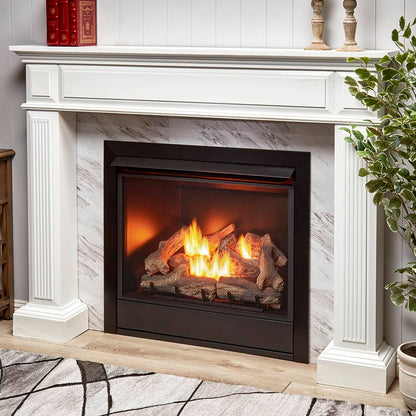 Ventless Dual Fuel Gas Fireplace Insert with Remote
