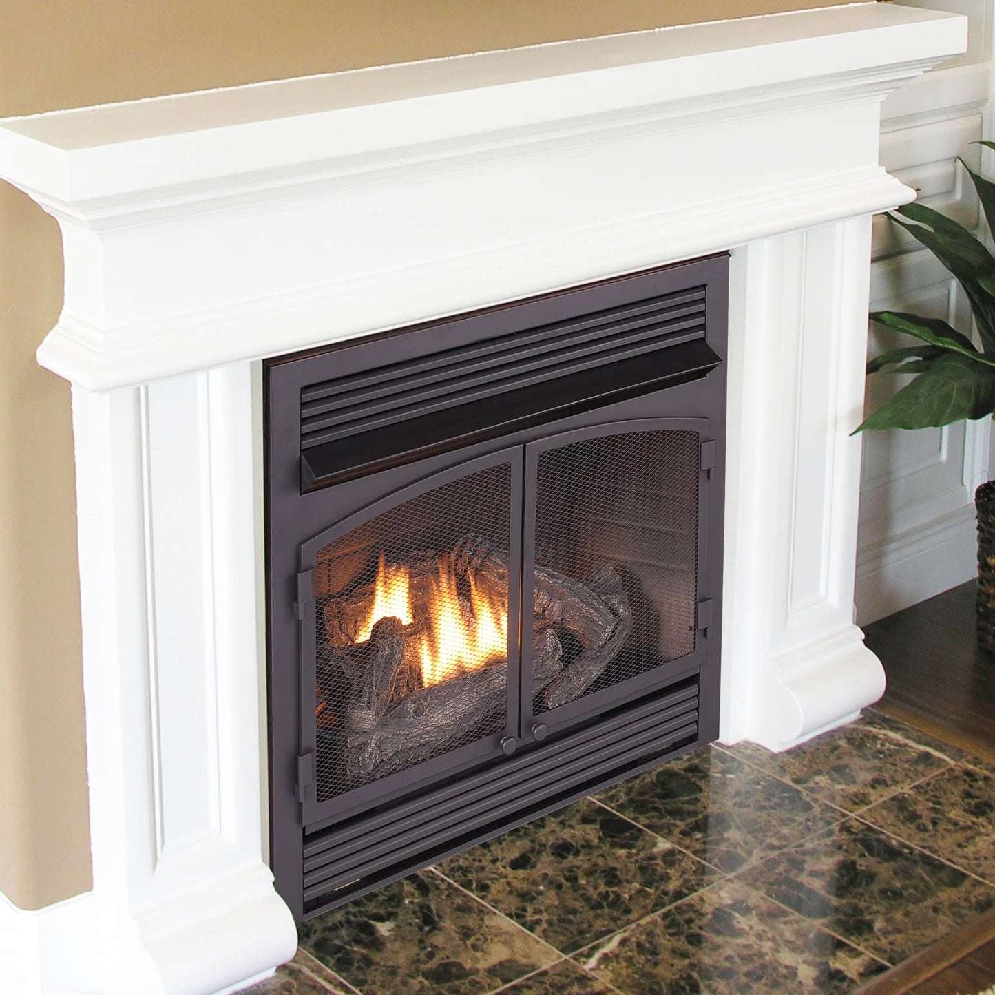 Ventless Dual Fuel Gas Fireplace Insert with Remote