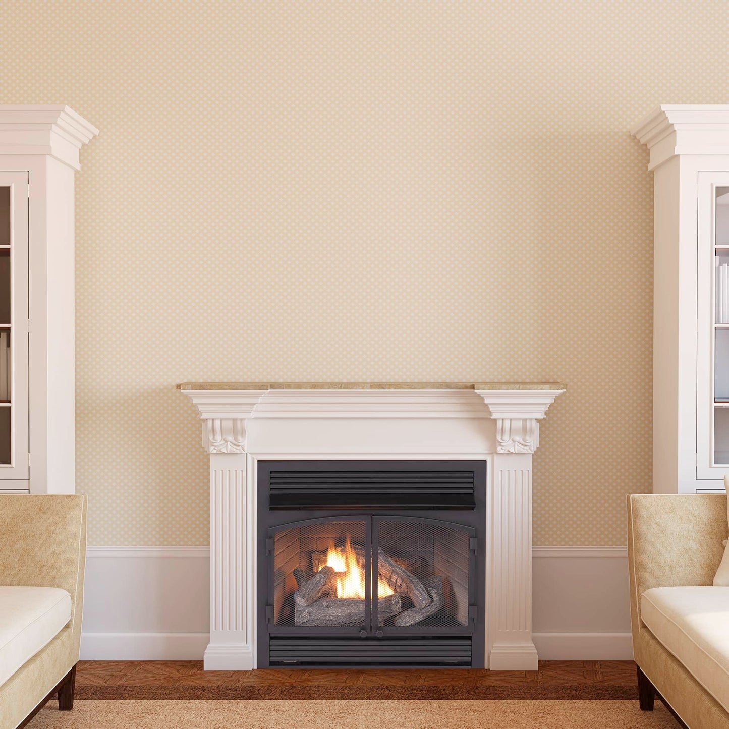 Ventless Dual Fuel Gas Fireplace Insert with Remote