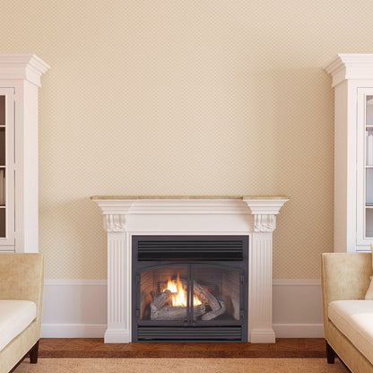 Ventless Dual Fuel Gas Fireplace Insert with Remote