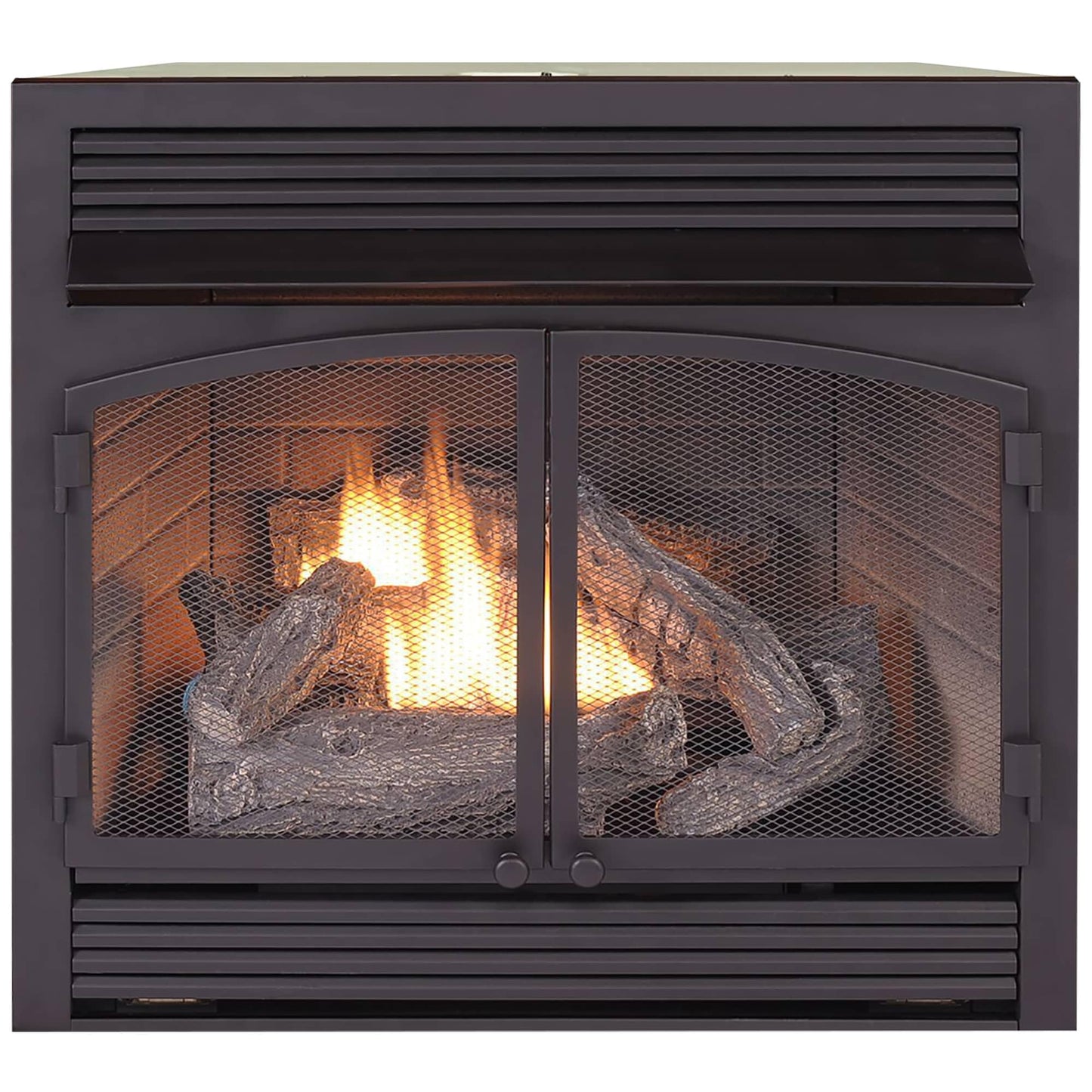 Ventless Dual Fuel Gas Fireplace Insert with Remote