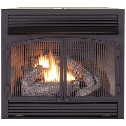 Ventless Dual Fuel Gas Fireplace Insert with Remote