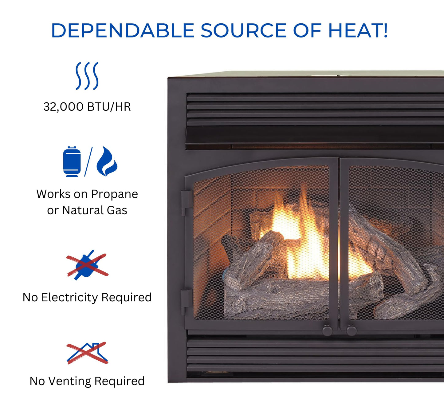 Ventless Dual Fuel Gas Fireplace Insert with Remote